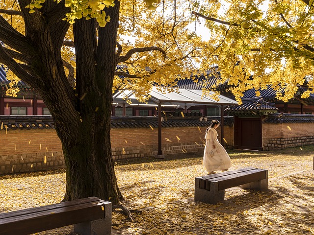 Otoño Corea del Sur