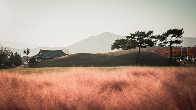 Gyeongju parque Corea del sur