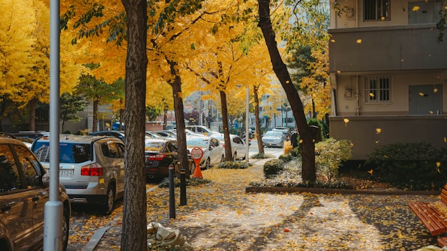 Otoño en Seul